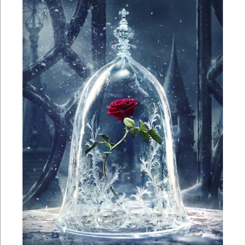 Meet your Posher, Karina